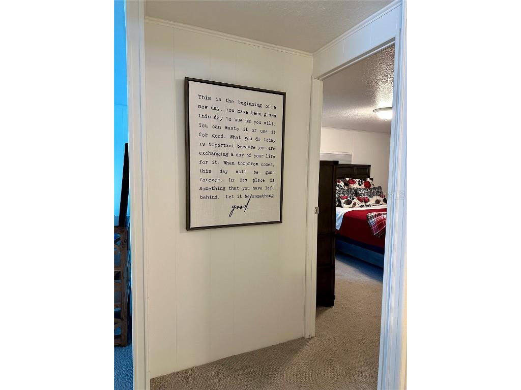 215 Red Maple Drive Palm Harbor FL 34684 TB8405281 image12