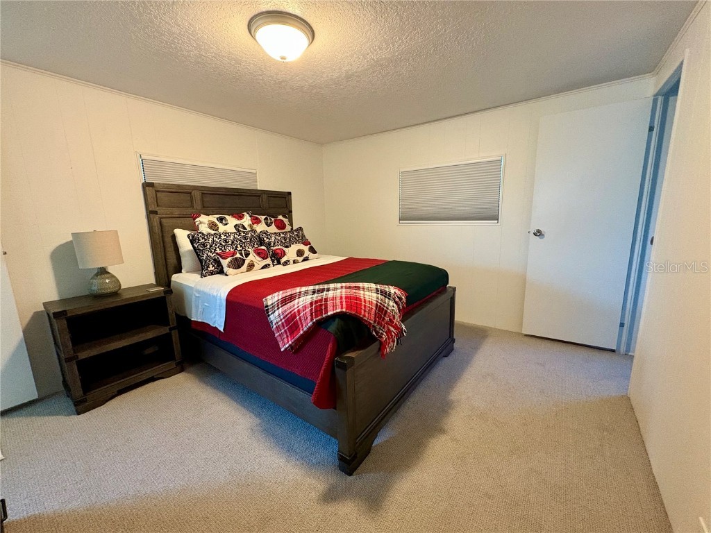 215 Red Maple Drive Palm Harbor FL 34684 TB8405281 image13