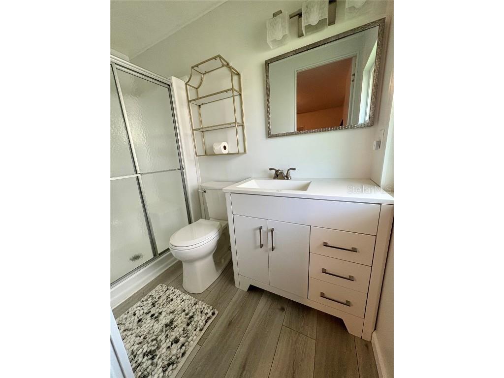 215 Red Maple Drive Palm Harbor FL 34684 TB8405281 image15