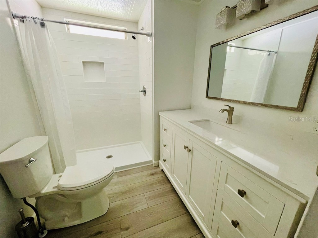 215 Red Maple Drive Palm Harbor FL 34684 TB8405281 image18