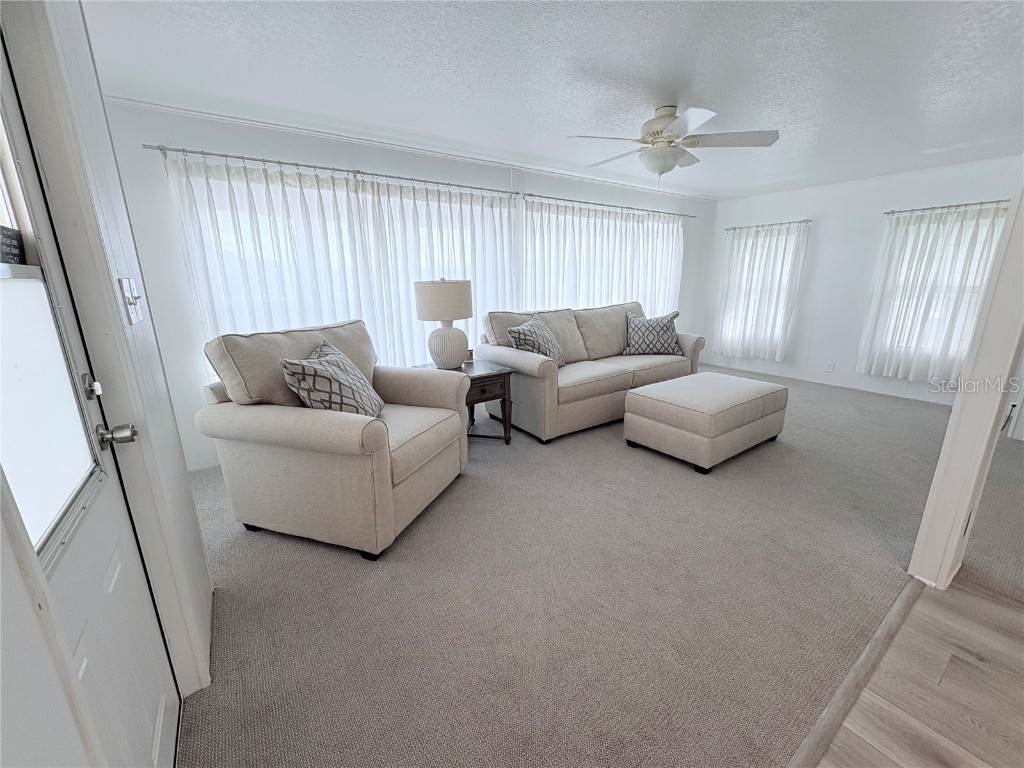 215 Red Maple Drive Palm Harbor FL 34684 TB8405281 image8