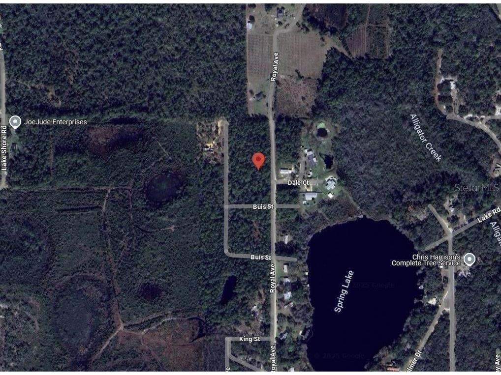 215 Royal Avenue Interlachen FL 32148 OK225723 image13