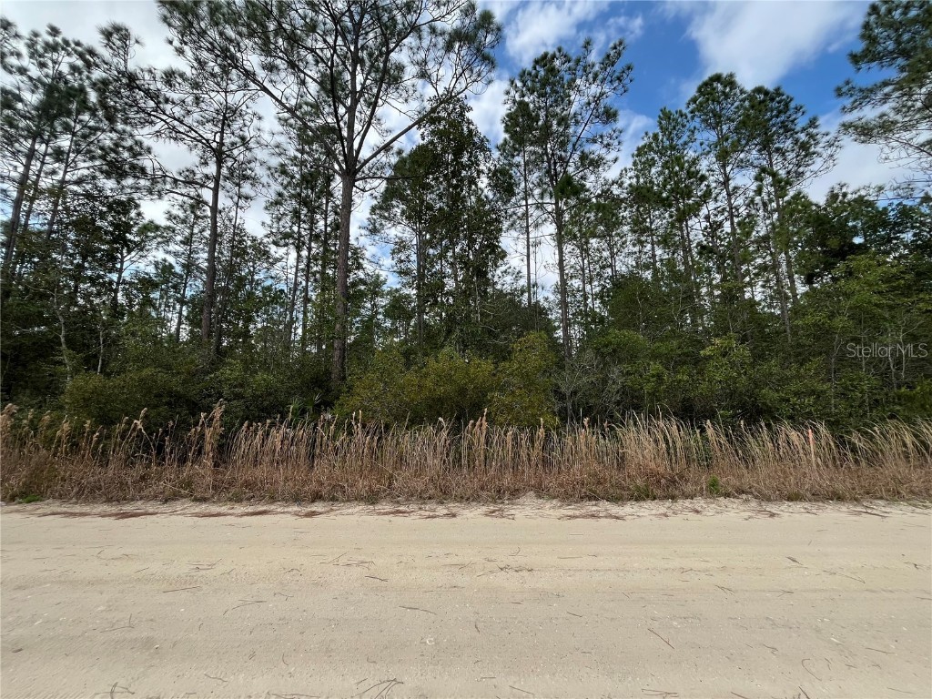 215 Royal Avenue Interlachen FL 32148 OK225723 image2