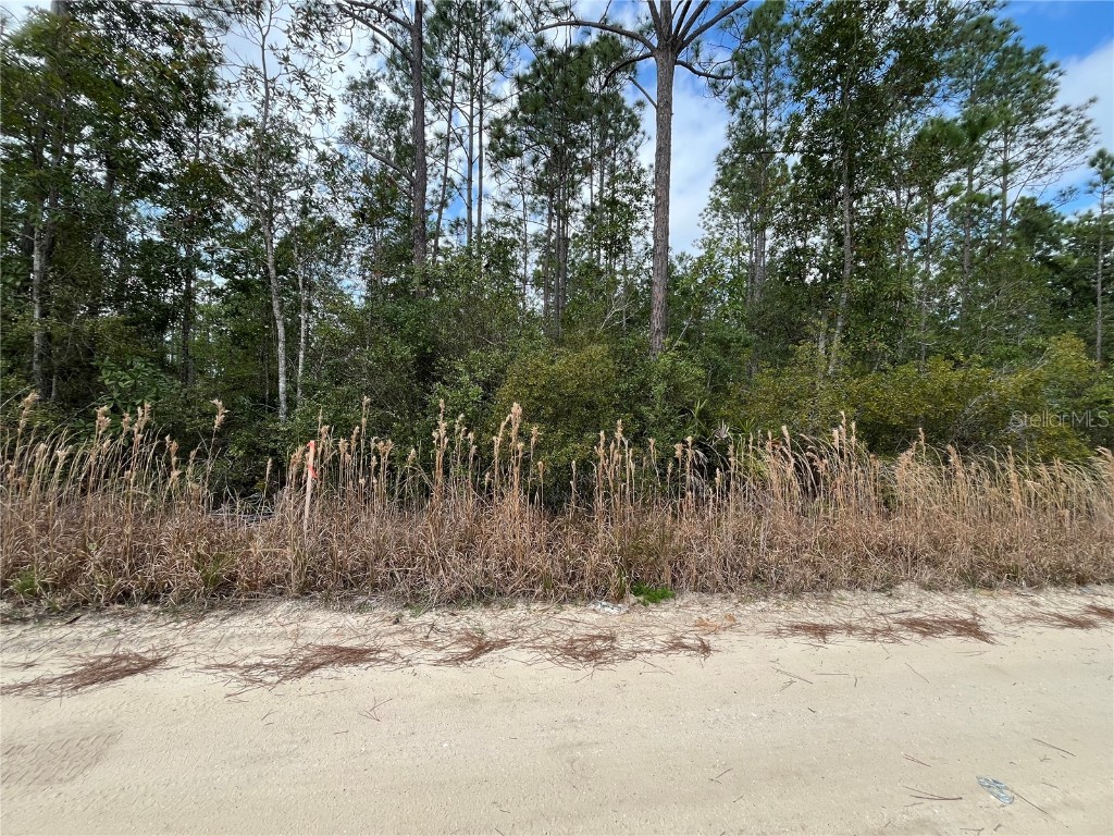 215 Royal Avenue Interlachen FL 32148 OK225723 image4