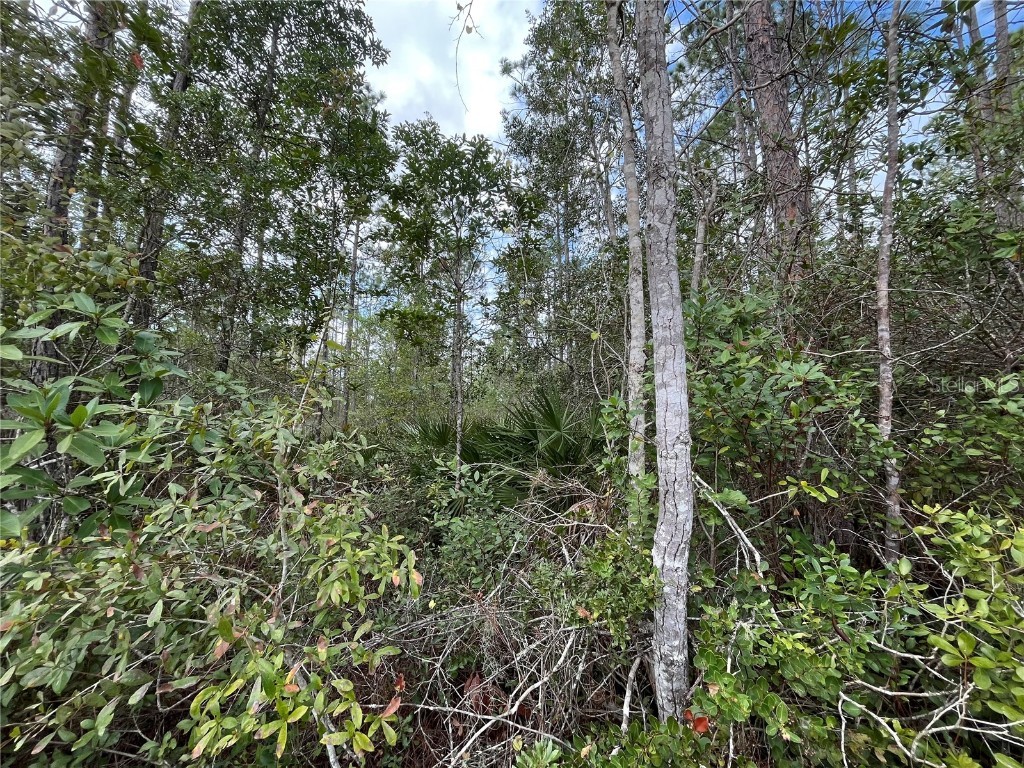 215 Royal Avenue Interlachen FL 32148 OK225723 image5