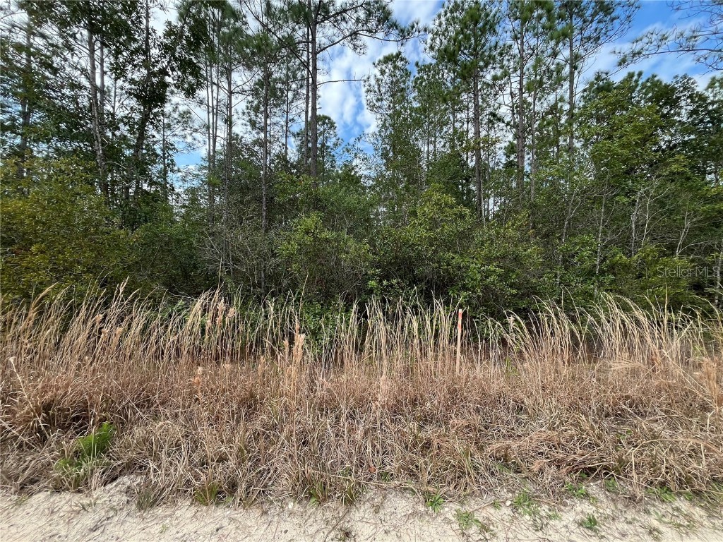 215 Royal Avenue Interlachen FL 32148 OK225723 image6