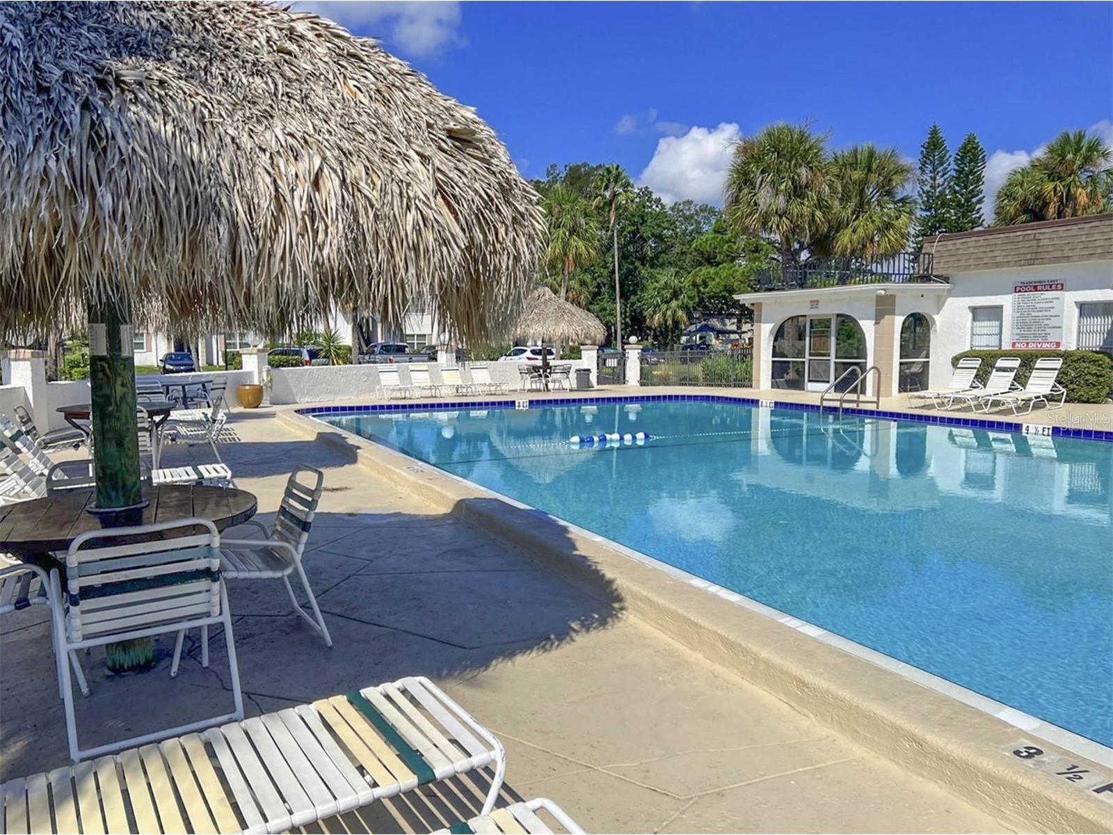 215 S Mcmullen Booth Road #182 Clearwater FL 33759 TB8483072 image36