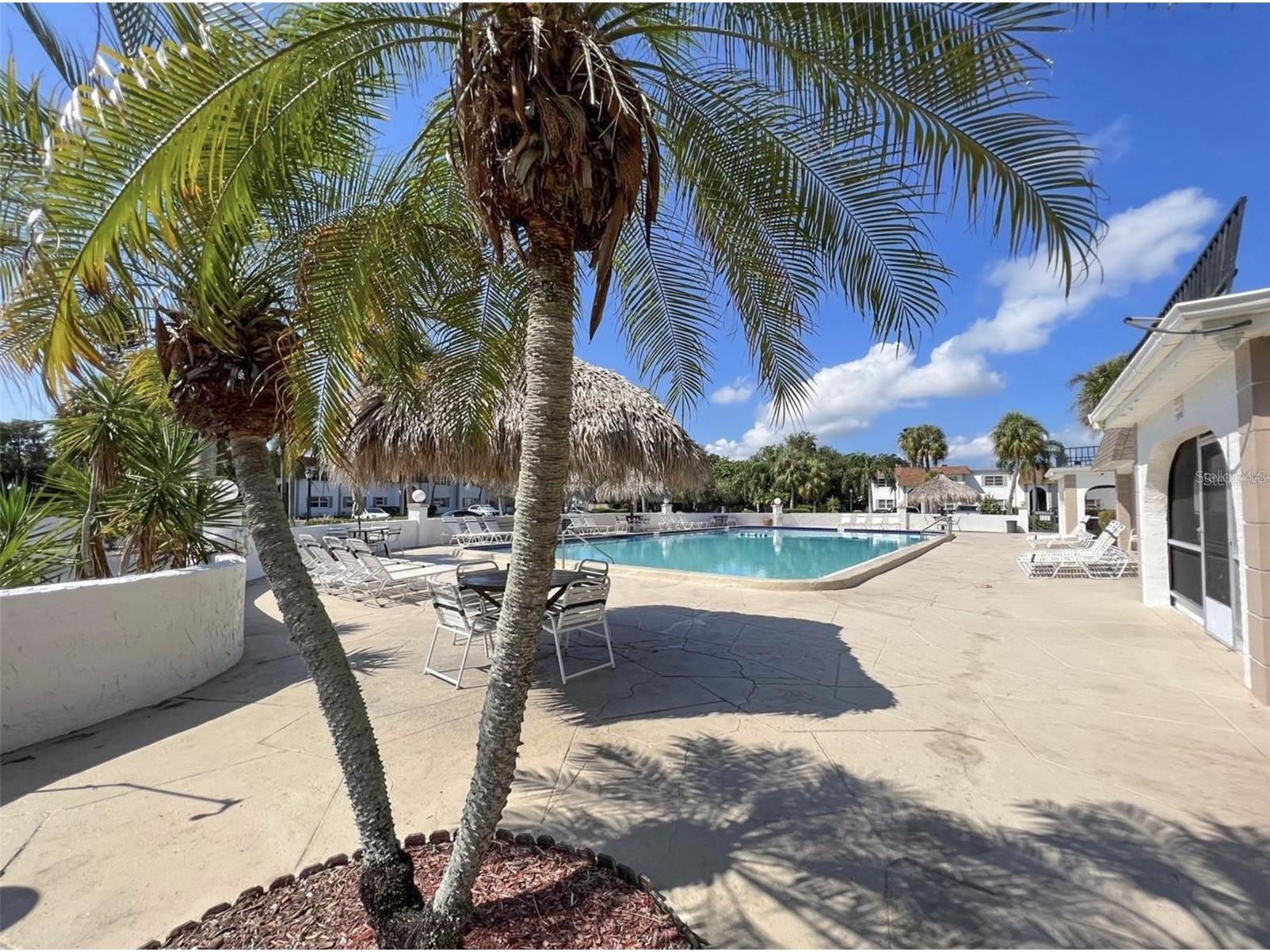 215 S Mcmullen Booth Road #182 Clearwater FL 33759 TB8483072 image37
