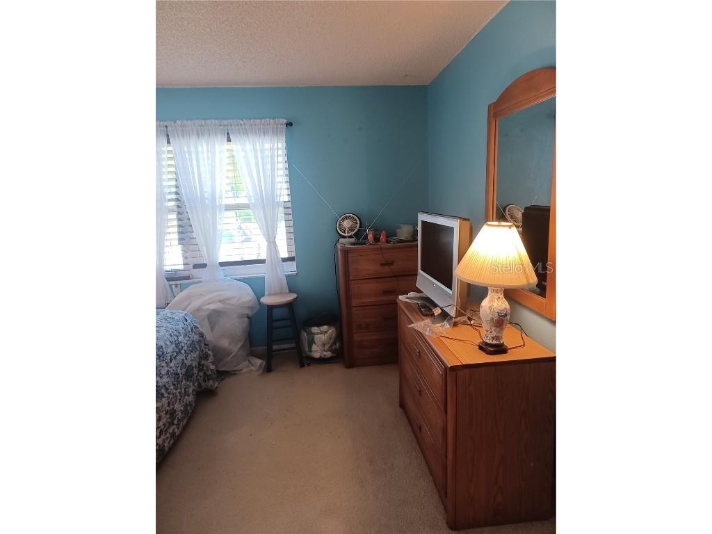 215 S Mcmullen Booth Road #183 Clearwater FL 33759 TB8448912 image6