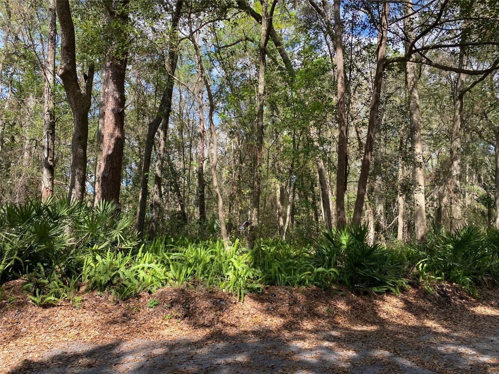 215 SE 21st Street Gainesville FL 32641 GC504080 image1