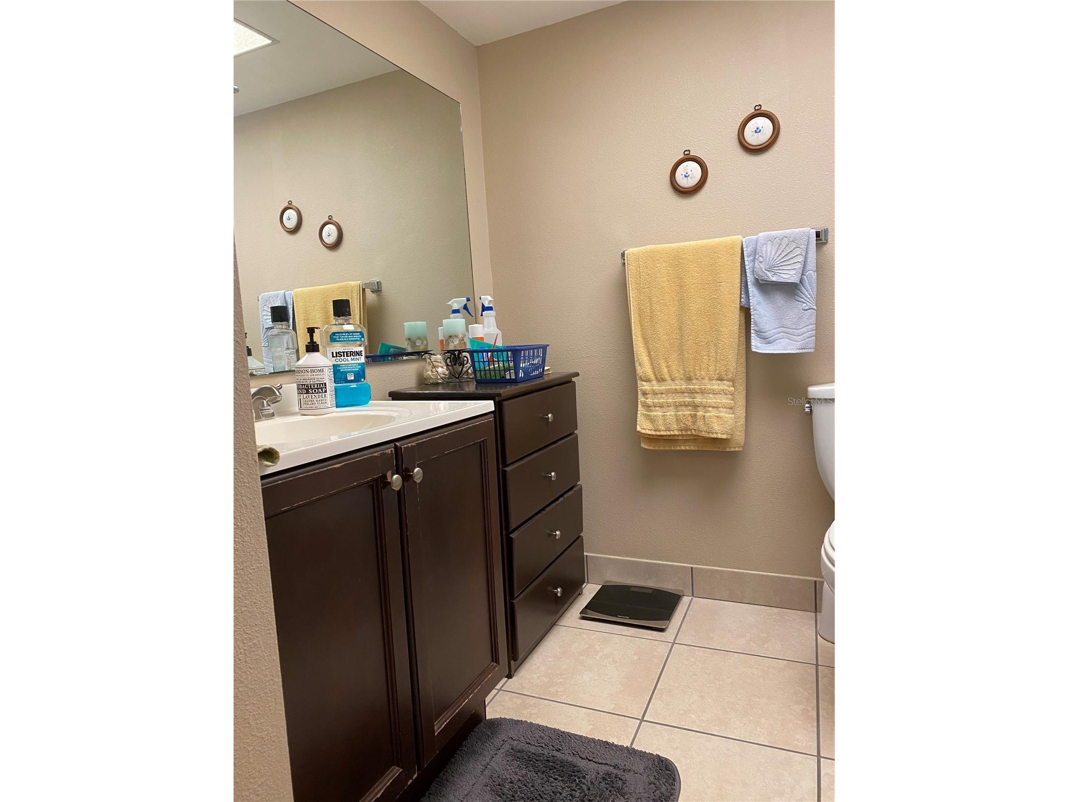 215 Valencia Boulevard #303 Belleair Bluffs FL 33770 TB8518248 image10