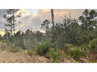 215 Vireo Avenue Sebring FL 33870 S5119937 image1