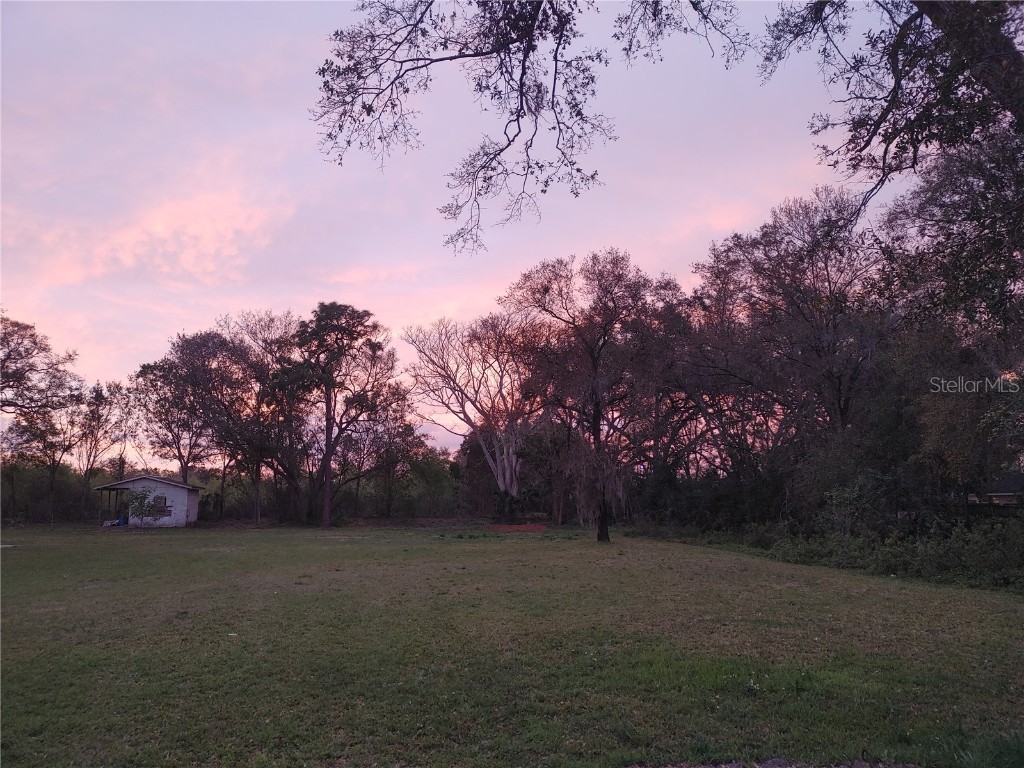 215 W 131st Avenue Tampa FL 33612 TB8353651 image1