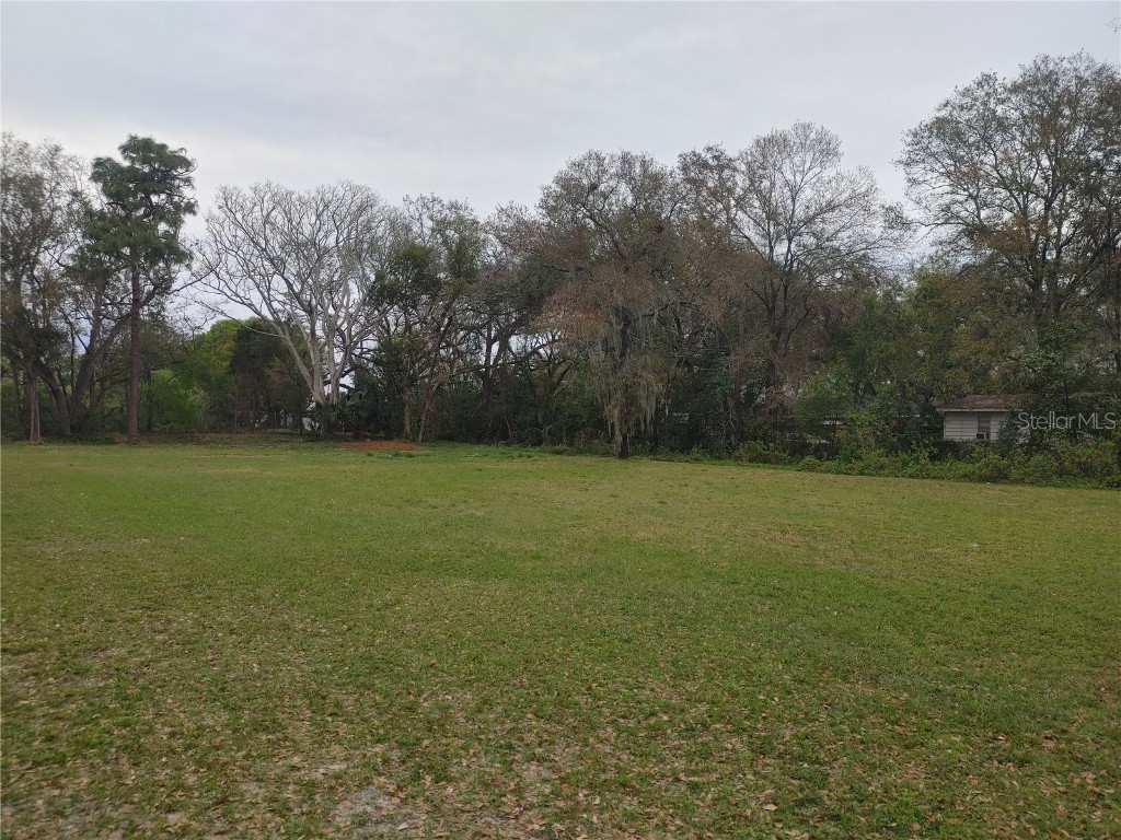 215 W 131st Avenue Tampa FL 33612 TB8353651 image10