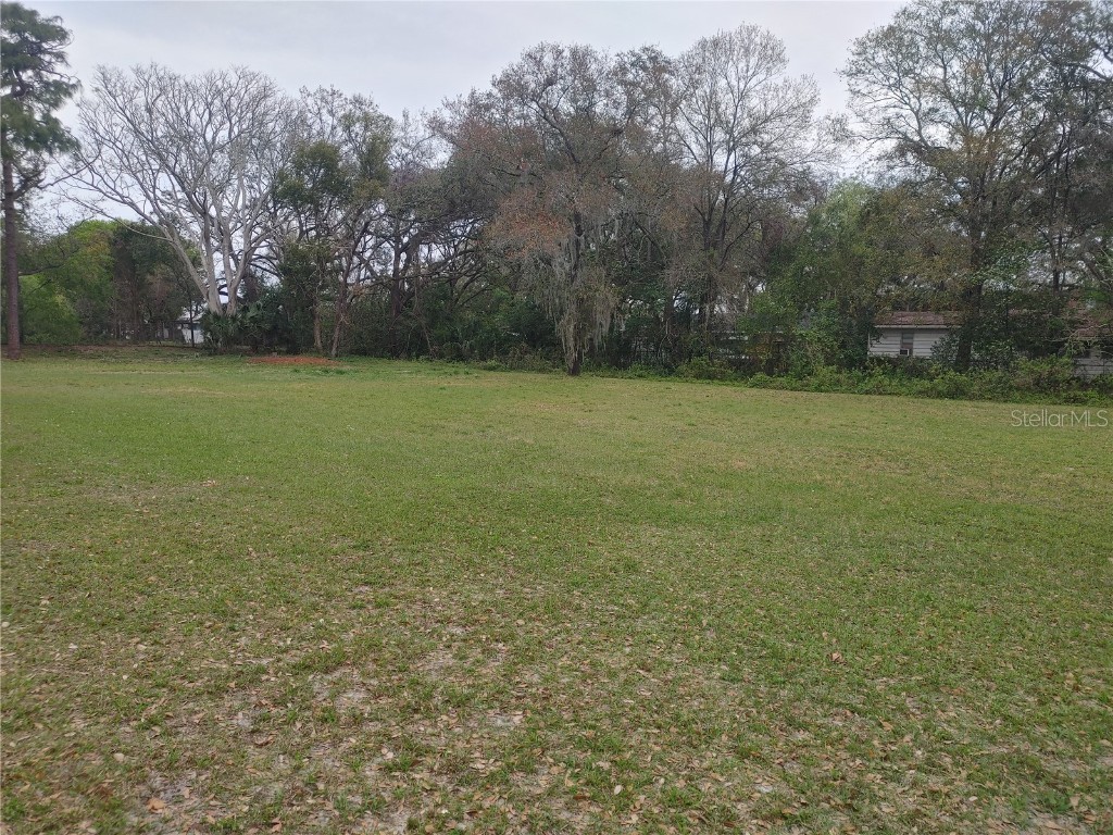 215 W 131st Avenue Tampa FL 33612 TB8353651 image11