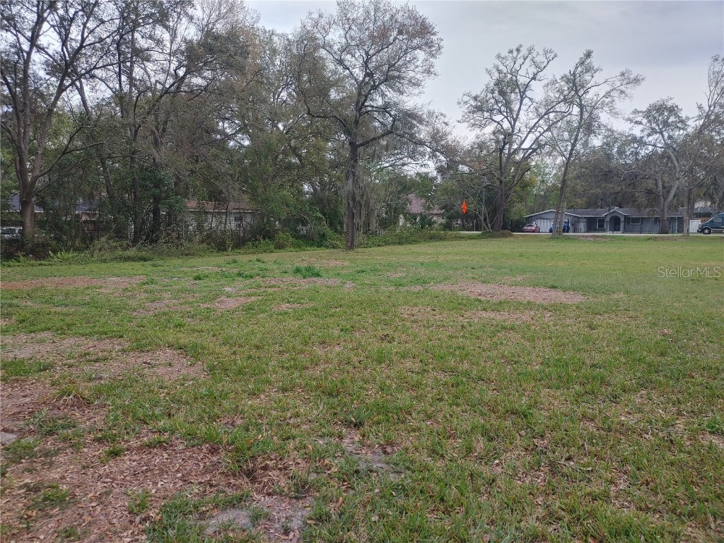 215 W 131st Avenue Tampa FL 33612 TB8353651 image13