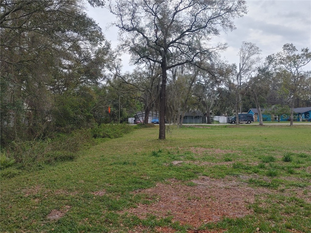 215 W 131st Avenue Tampa FL 33612 TB8353651 image17