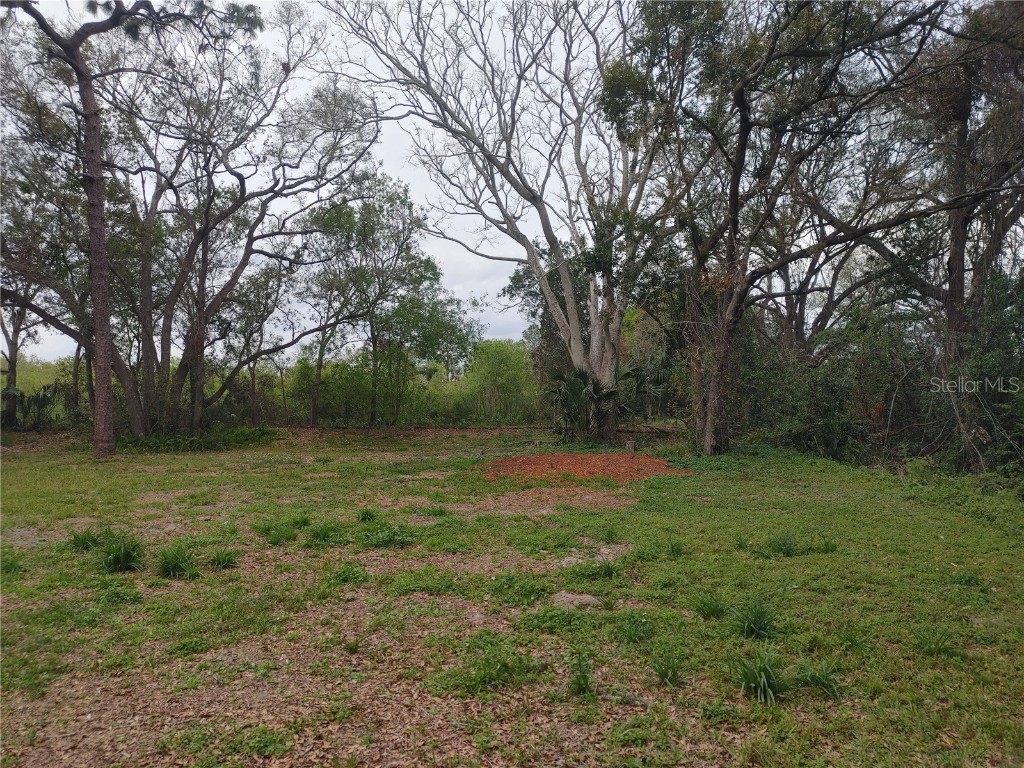 215 W 131st Avenue Tampa FL 33612 TB8353651 image19