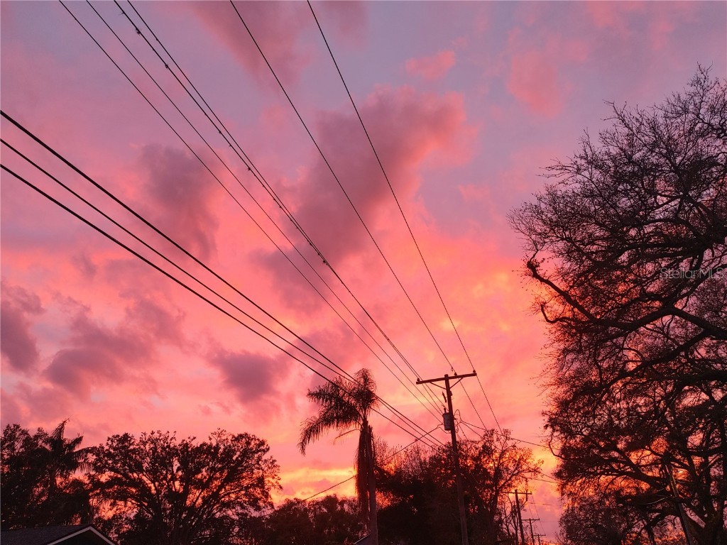 215 W 131st Avenue Tampa FL 33612 TB8353651 image24