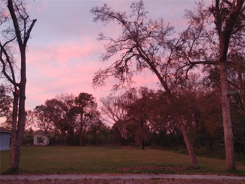 215 W 131st Avenue Tampa FL 33612 TB8353651 image4