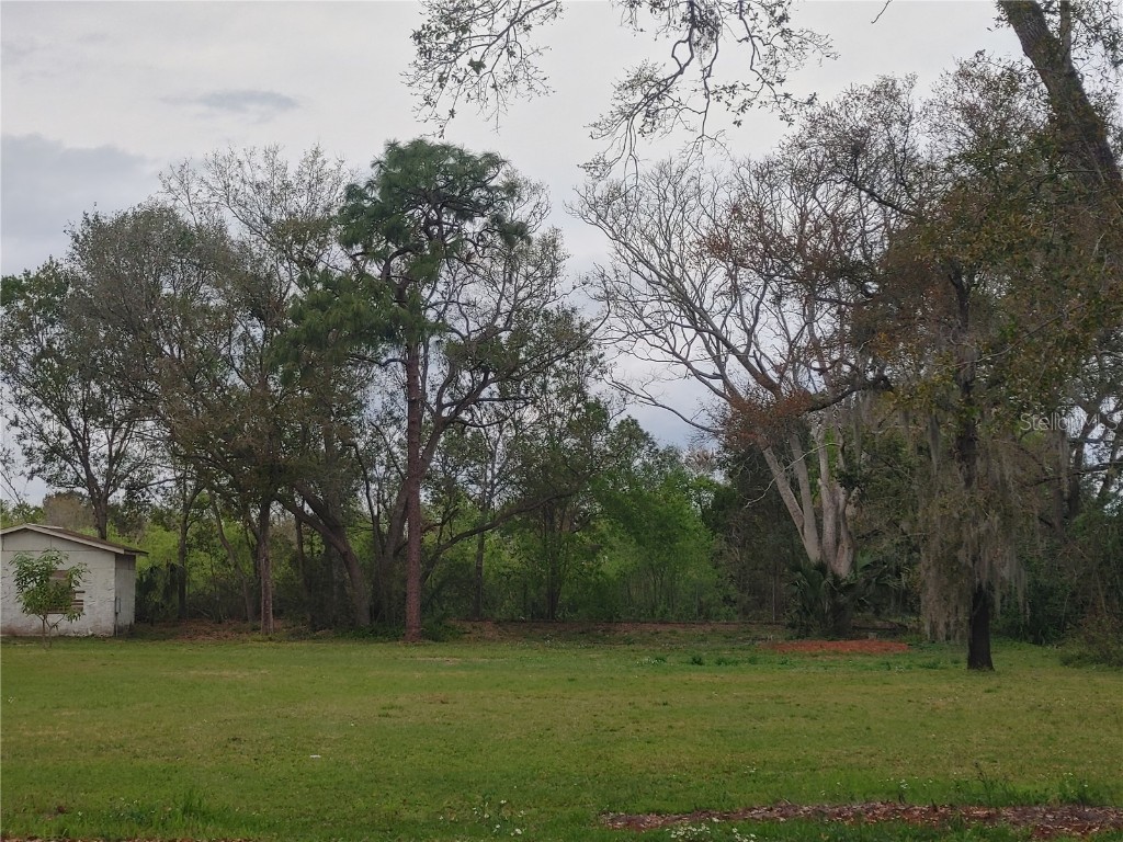 215 W 131st Avenue Tampa FL 33612 TB8353651 image5