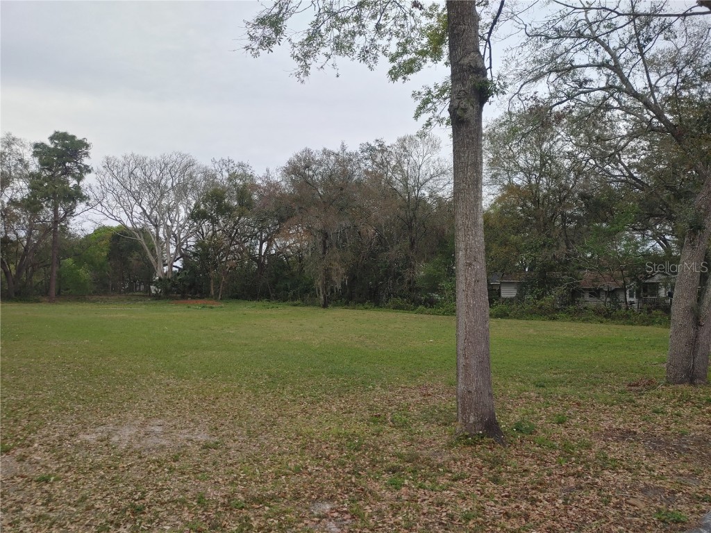 215 W 131st Avenue Tampa FL 33612 TB8353651 image6