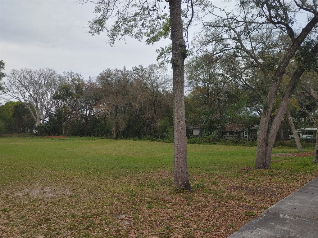 215 W 131st Avenue Tampa FL 33612 TB8353651 image7