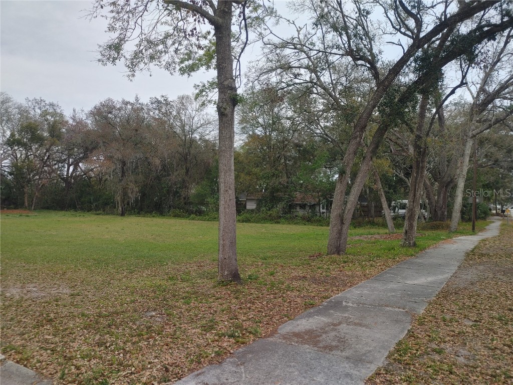 215 W 131st Avenue Tampa FL 33612 TB8353651 image8