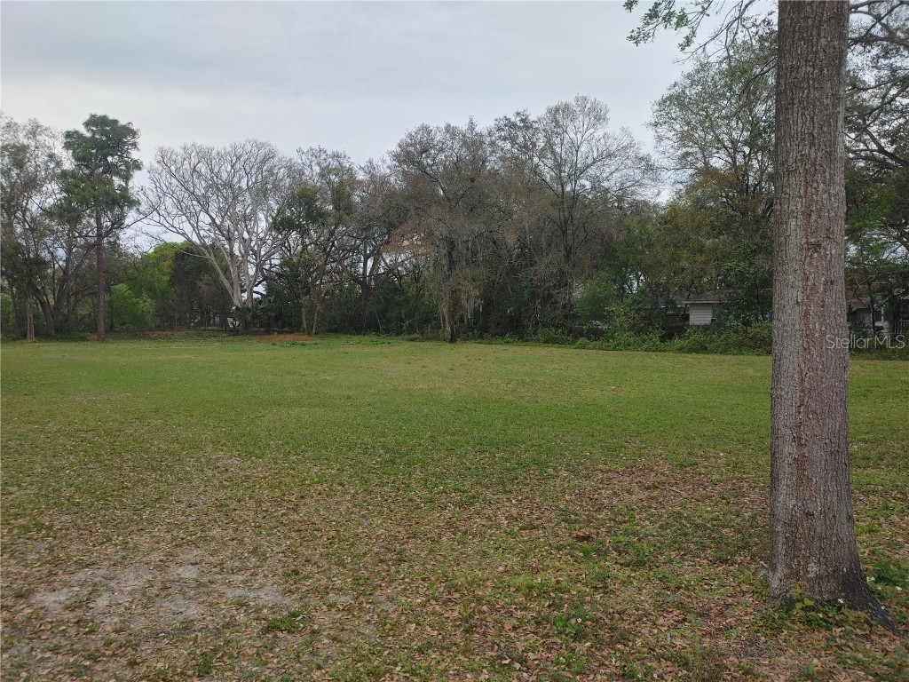 215 W 131st Avenue Tampa FL 33612 TB8353651 image9