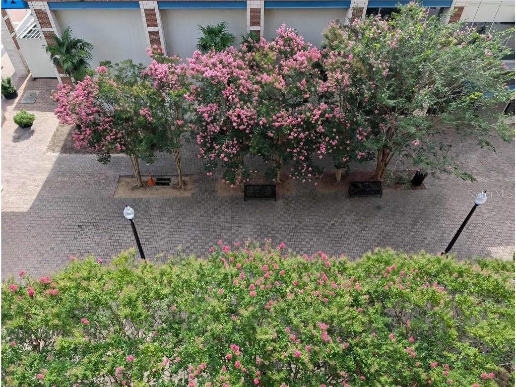 215 W College Avenue #511 Tallahassee FL 32301 O6348047 image19