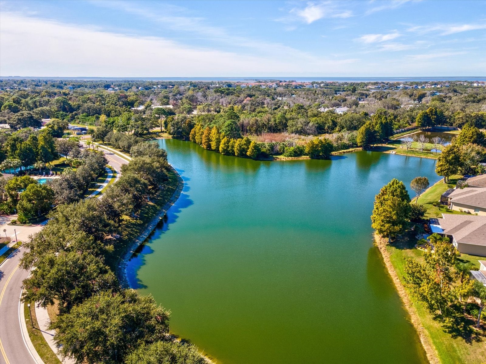 2150 Parrot Fish Drive Holiday FL 34691 TB8447296 image31