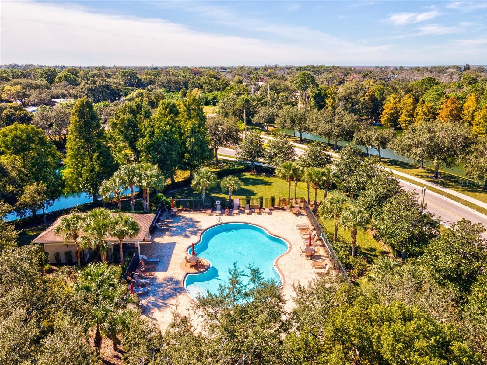 2150 Parrot Fish Drive Holiday FL 34691 TB8447296 image35