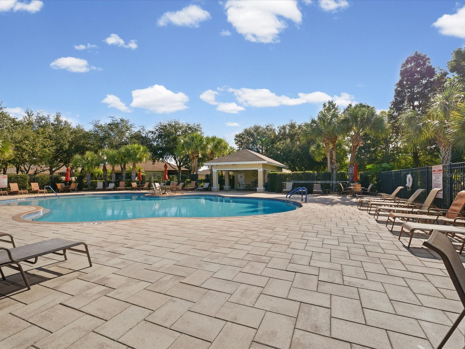 2150 Parrot Fish Drive Holiday FL 34691 TB8447296 image37