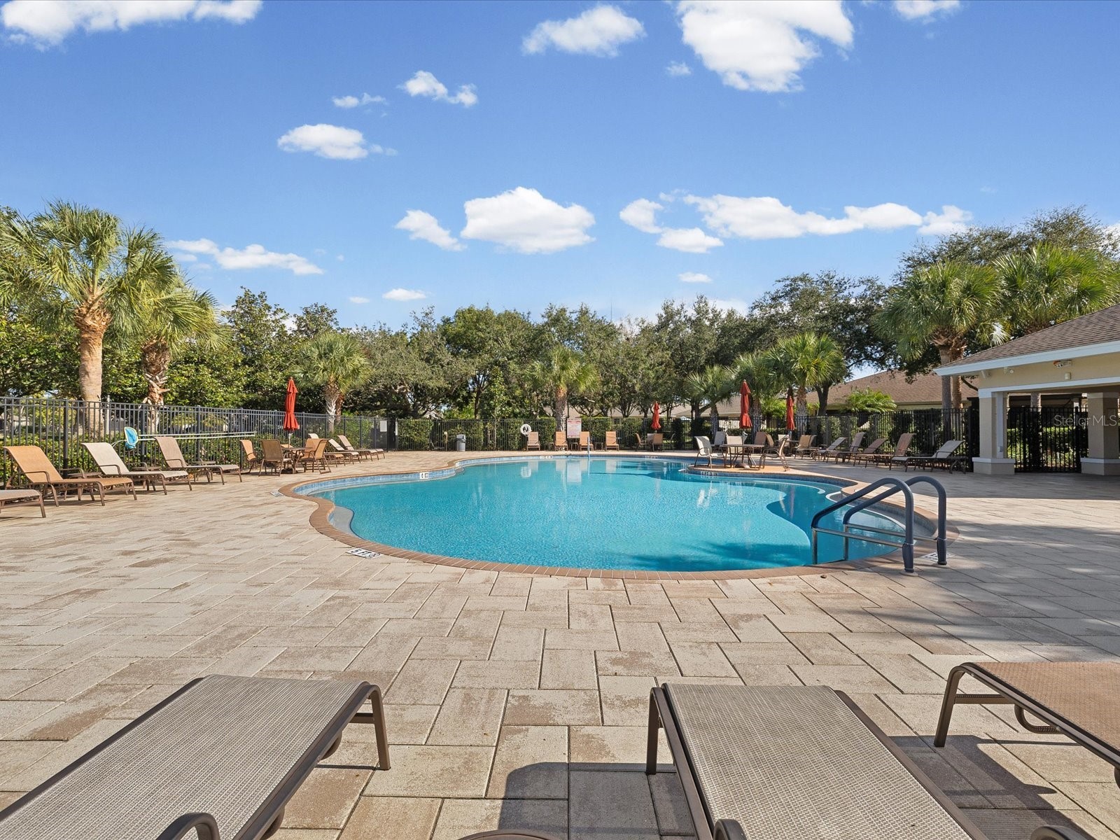 2150 Parrot Fish Drive Holiday FL 34691 TB8447296 image38