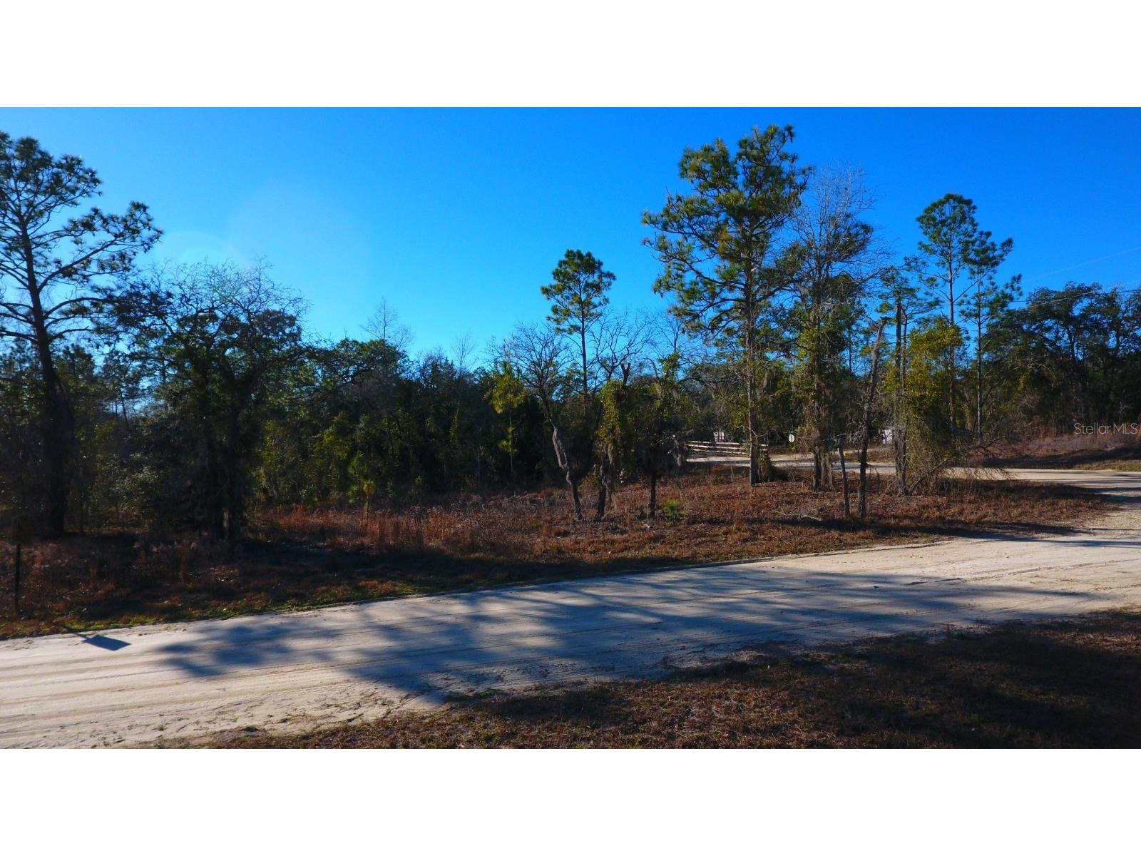 2150 SE 137th Court Morriston FL 32668 OM717145 image2