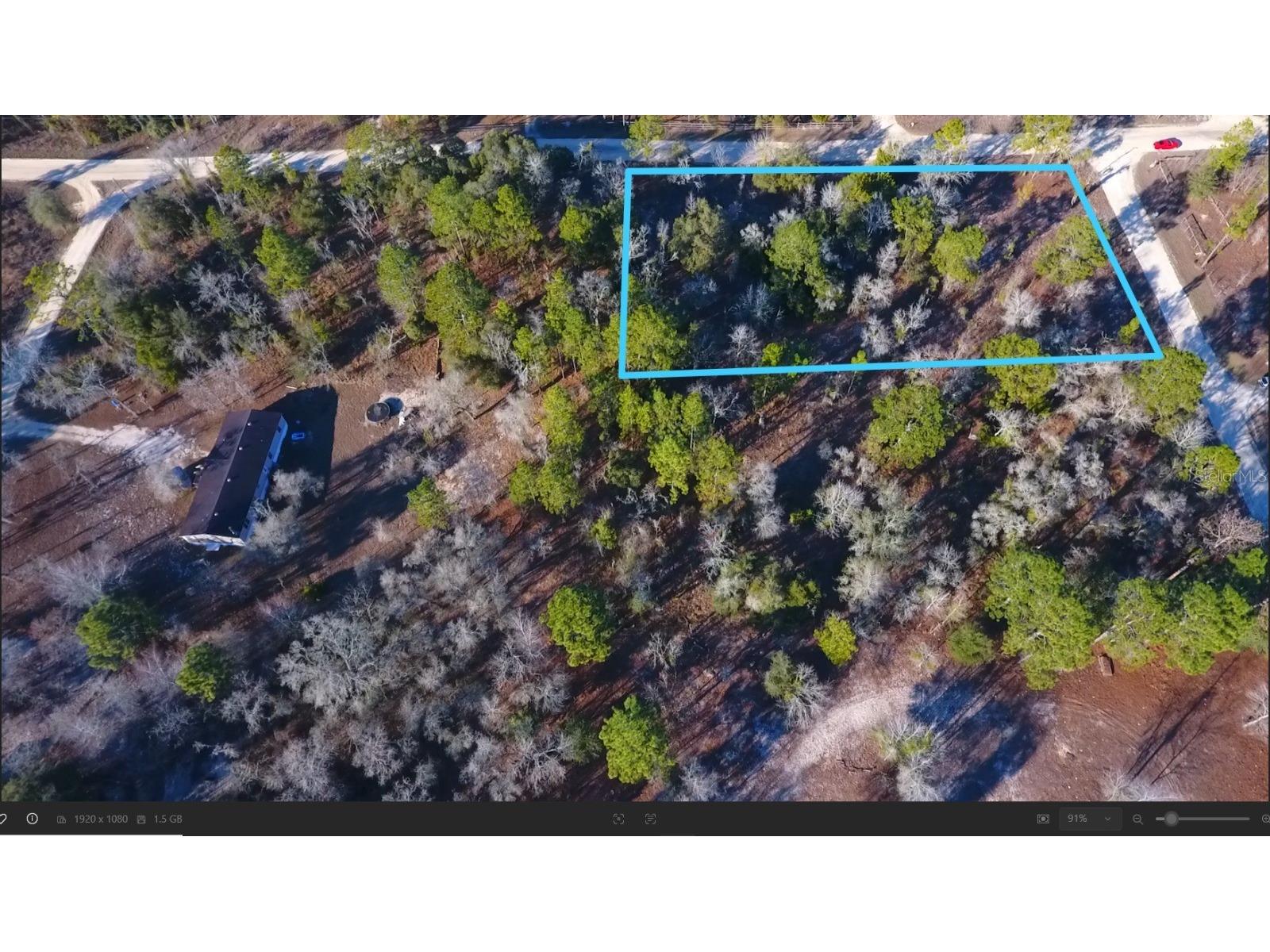 2150 SE 137th Court Morriston FL 32668 OM717145 image3