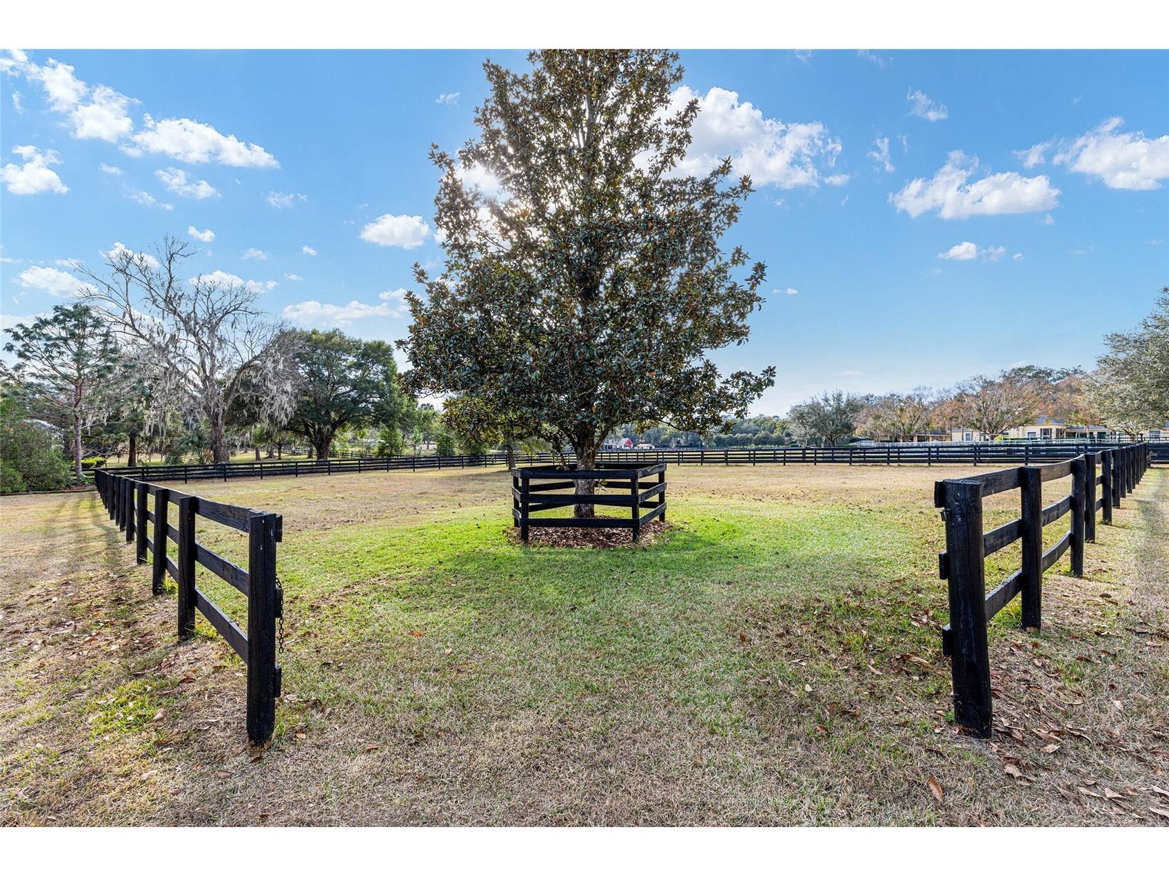 2150 SE 73 Loop Ocala FL 34480 OM717602 image55