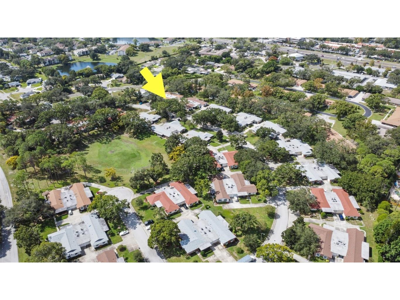 2150 Shelly Drive #A Palm Harbor FL 34684 TB8436293 image28