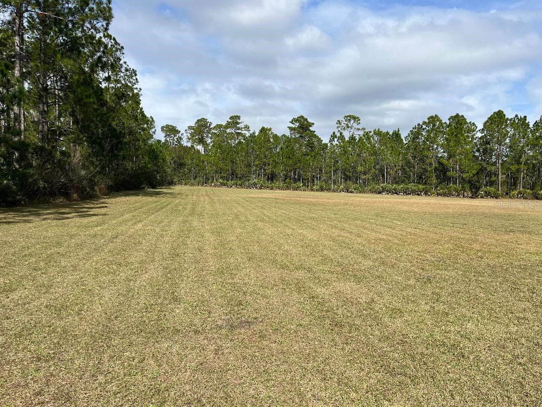2150 Spruce Creek Circle W Port Orange FL 32128 O6373564 image1