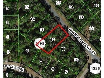 2150 W Andromedae Drive Citrus Springs FL 34434 O6229572 image1