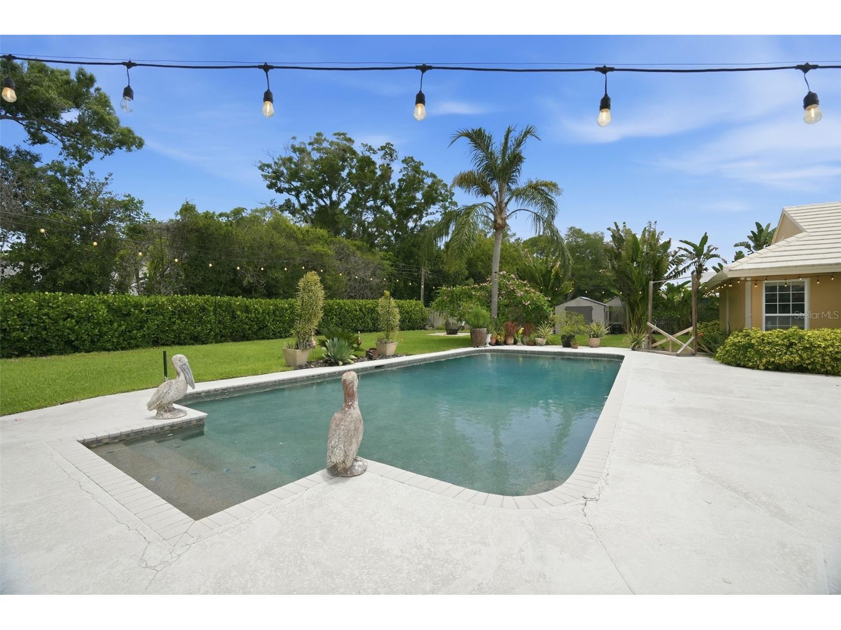 2150 Wrens Way Clearwater FL 33764 TB8511941 image7