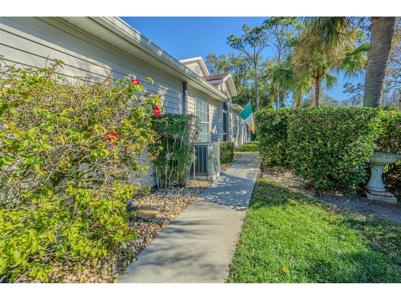 21502 Woodstork Lane Lutz FL 33549 TB8466022 image19