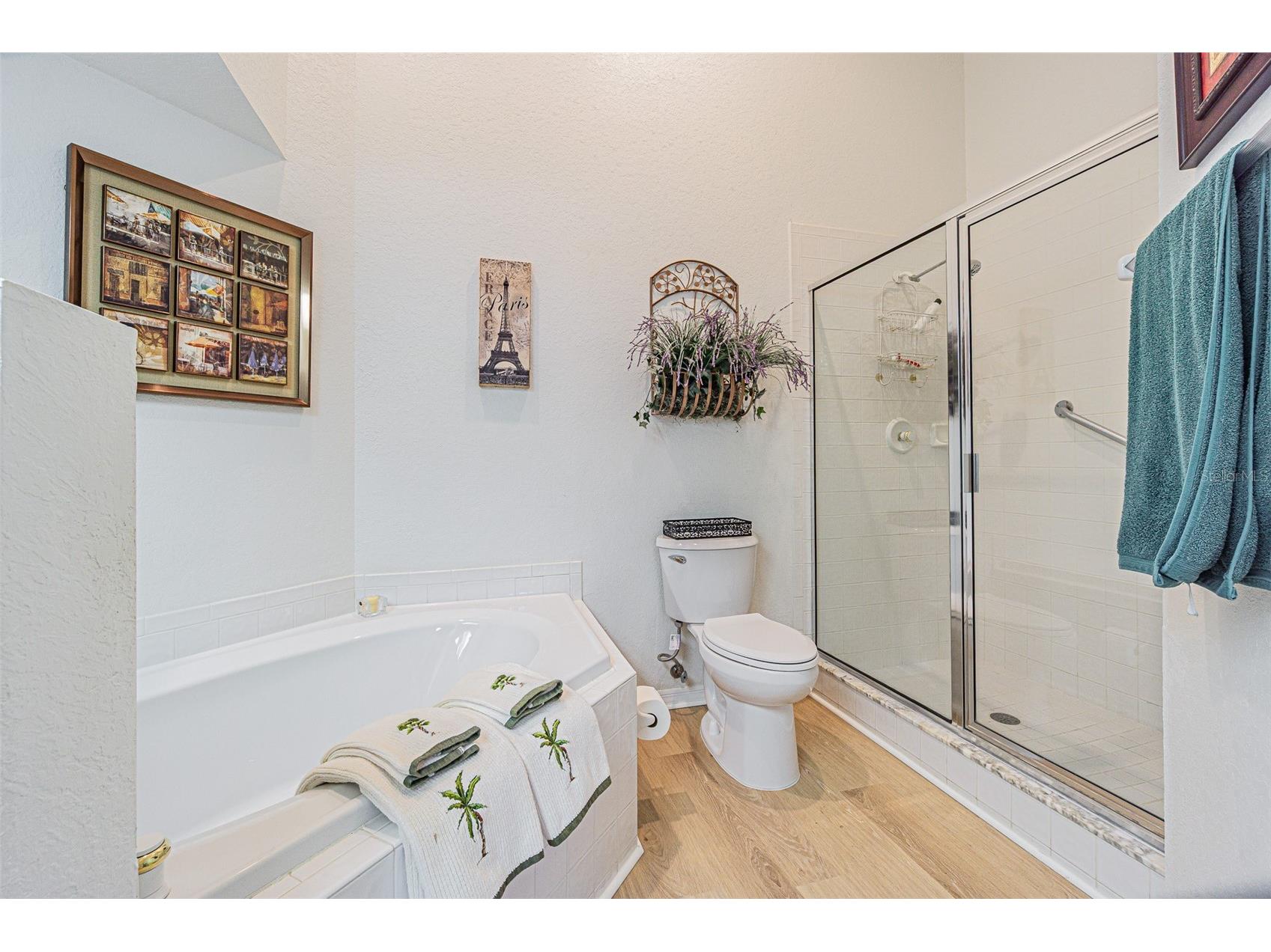 21502 Woodstork Lane Lutz FL 33549 TB8466022 image9