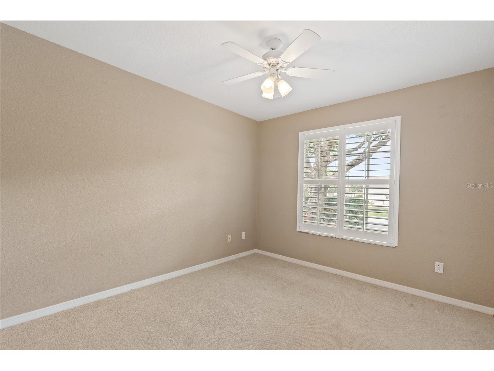 21506 Gray Tern Court Lutz FL 33549 W7885096 image23