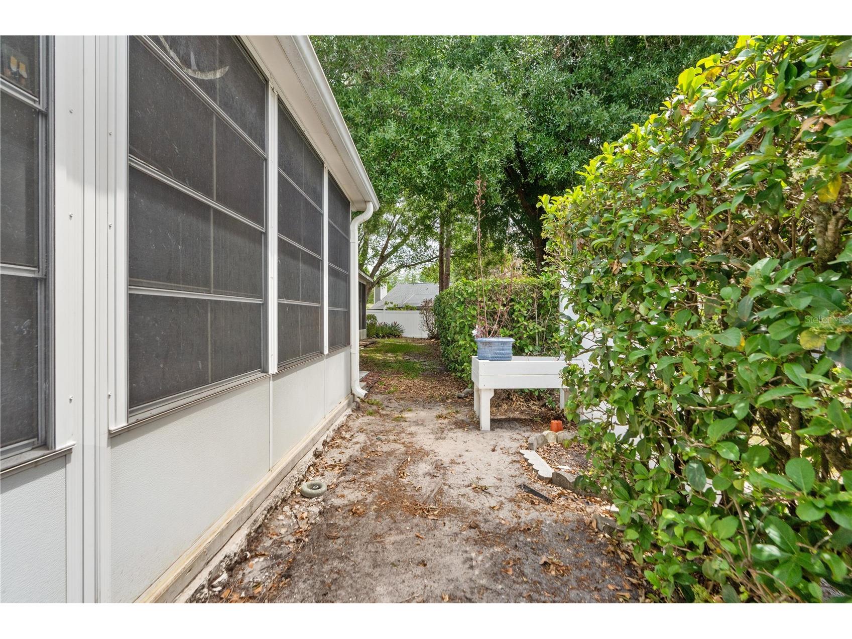 21506 Gray Tern Court Lutz FL 33549 W7885096 image32