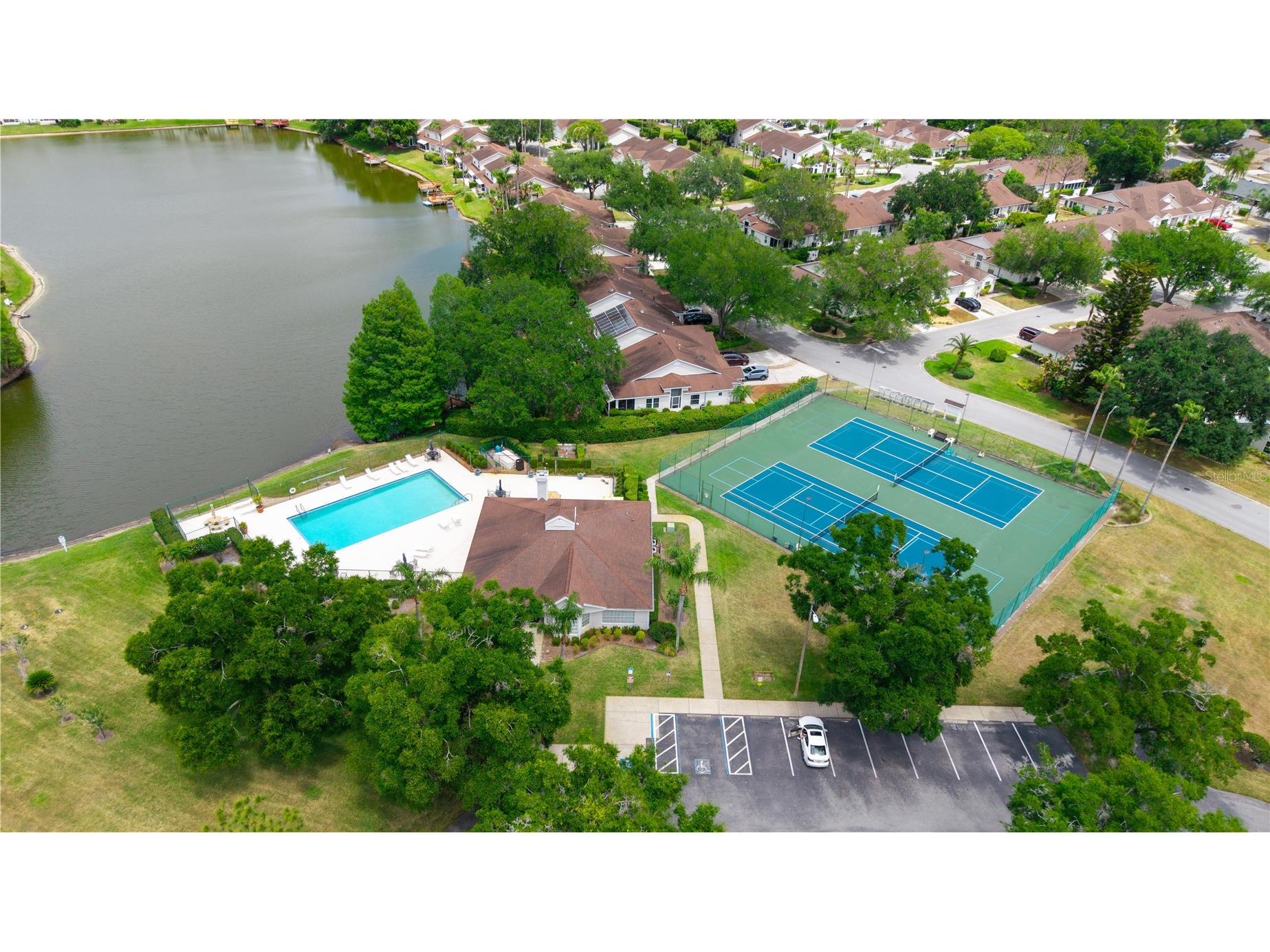 21506 Gray Tern Court Lutz FL 33549 W7885096 image35