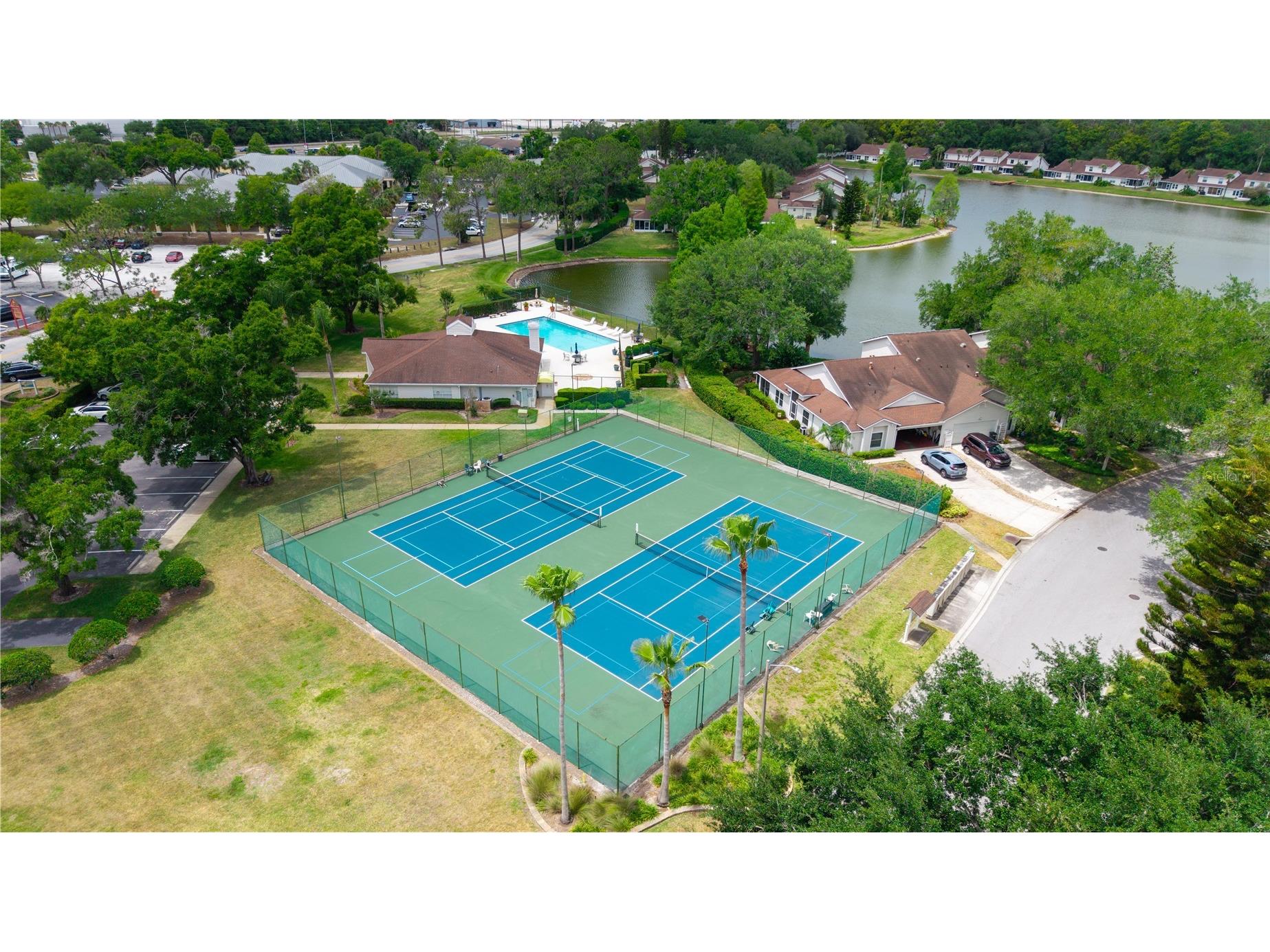 21506 Gray Tern Court Lutz FL 33549 W7885096 image37