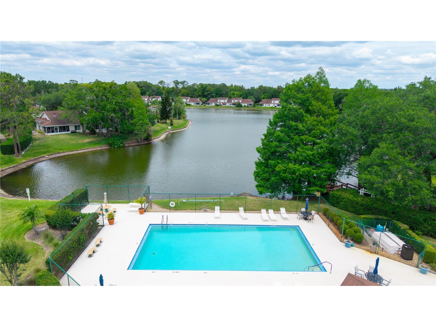 21506 Gray Tern Court Lutz FL 33549 W7885096 image39