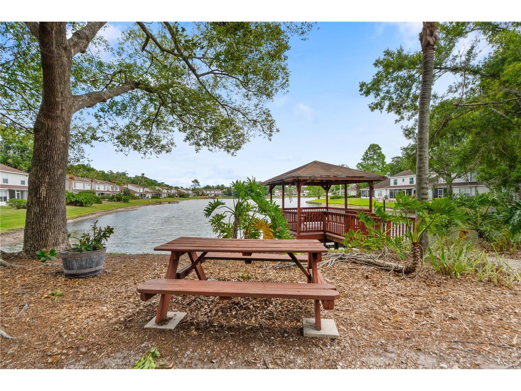 21506 Gray Tern Court Lutz FL 33549 W7885096 image41