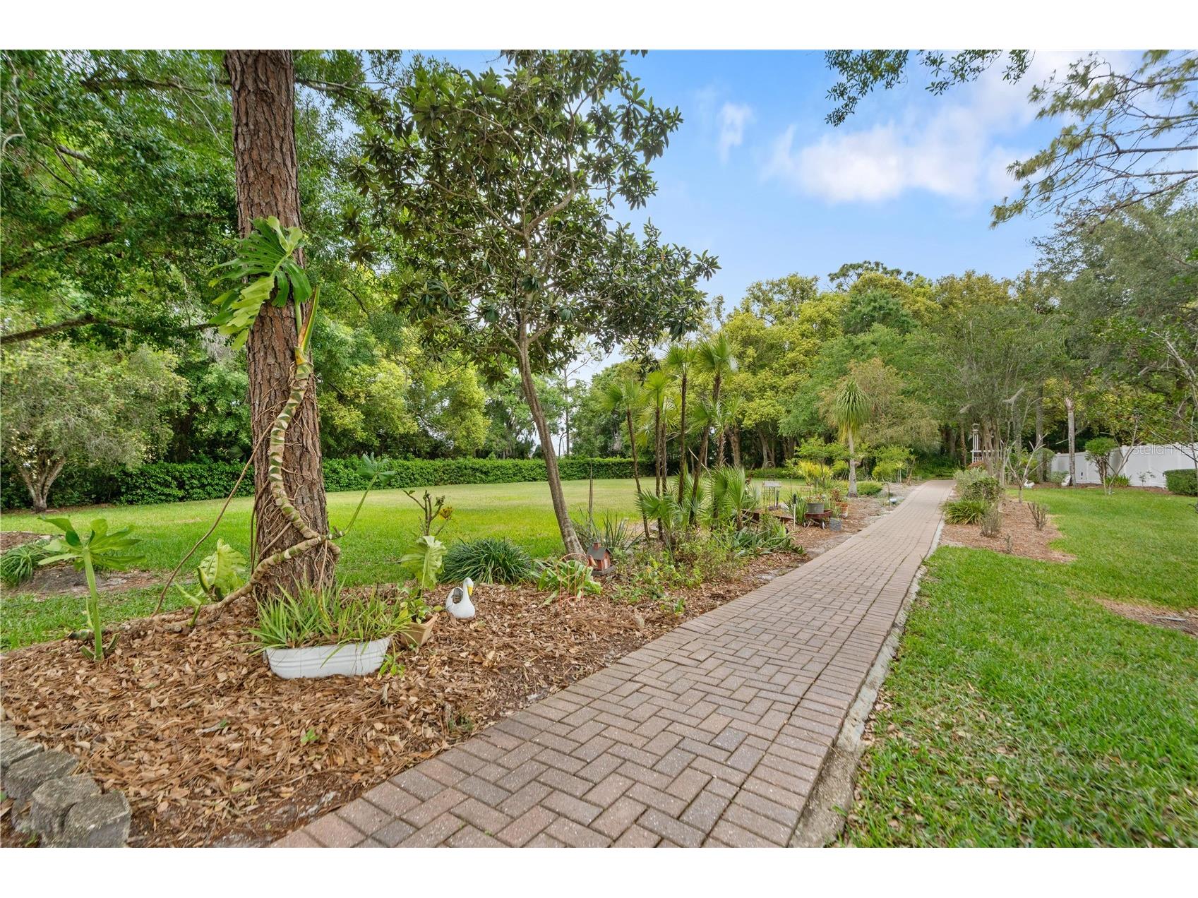 21506 Gray Tern Court Lutz FL 33549 W7885096 image44